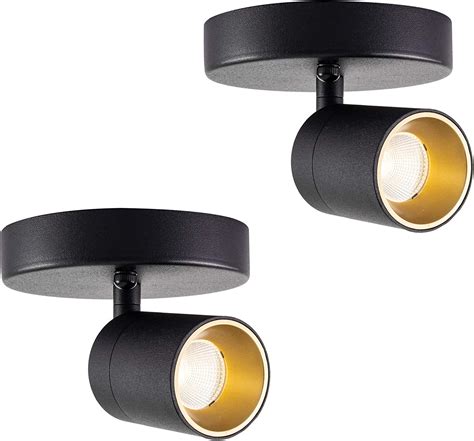 Vidalite LED Monopoint Sconce Adjustable Flush Mount Spot Light with Rotating Head for Living Room Dining and Office, 2-Pack, Black, 2